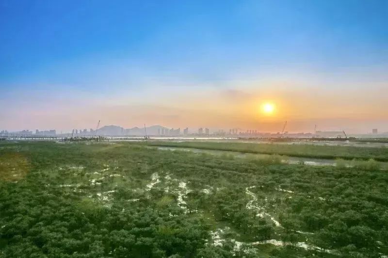 厦门翔安附近免费的湿地公园,翔安这边公园
