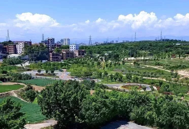 厦门翔安附近免费的湿地公园,翔安这边公园