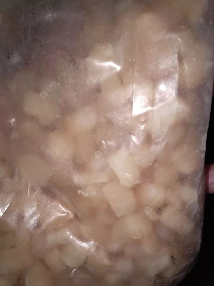 瑶柱钓鱼真实效果,干瑶柱钓鱼怎么样