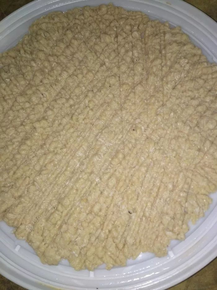 瑶柱钓鱼真实效果,干瑶柱钓鱼怎么样