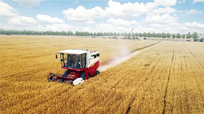 中国农机最具创新力榜单,雷沃重工官网