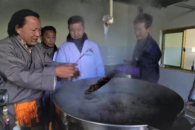 藏医药浴法列入非物质文化遗产,西藏藏医药浴申遗时间