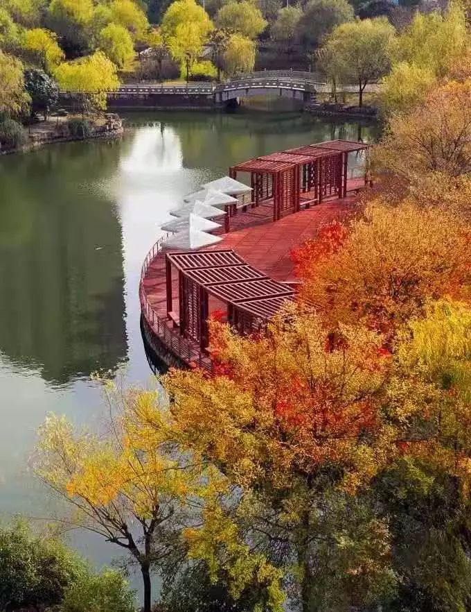 独家专访金华一中校长寿才明:丽泽书院到底要什么样的牛娃?