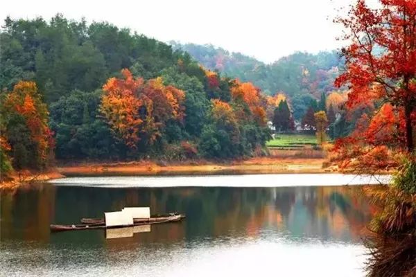 西溪湿地免费区域从哪儿进,西溪湿地免费区域地图