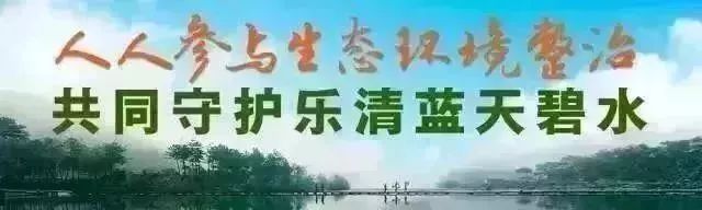 春泥计划,春泥计划篮球活动