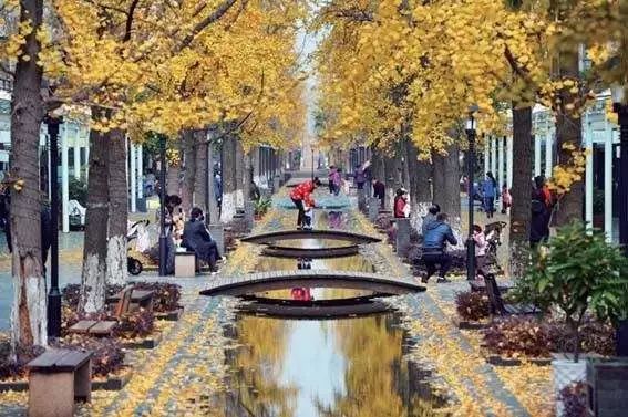 西溪湿地免费区域从哪儿进,西溪湿地免费区域地图