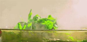 德阳人的素质有哪些,四川德阳人真实生活