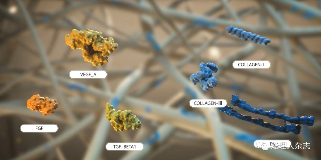 保健品套路100例,保健品套路深度分析