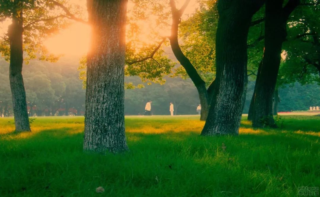 二舅日常生活视频,二舅的温馨生活原视频