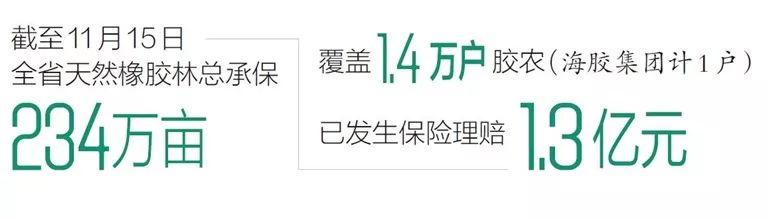 海南人“保护橡胶树”小游戏来了！看你能打多少分？你还会有这些收获……