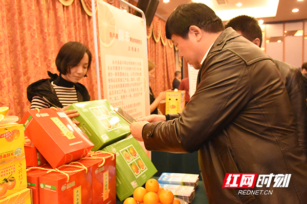 橙意满满橙子采摘,橙意满满蜜雪冰城