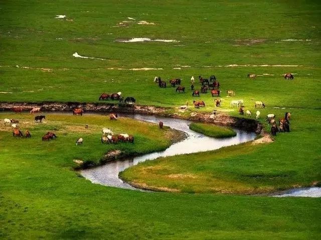 内蒙古车牌号字母按什么排的,内蒙古自治区车牌号