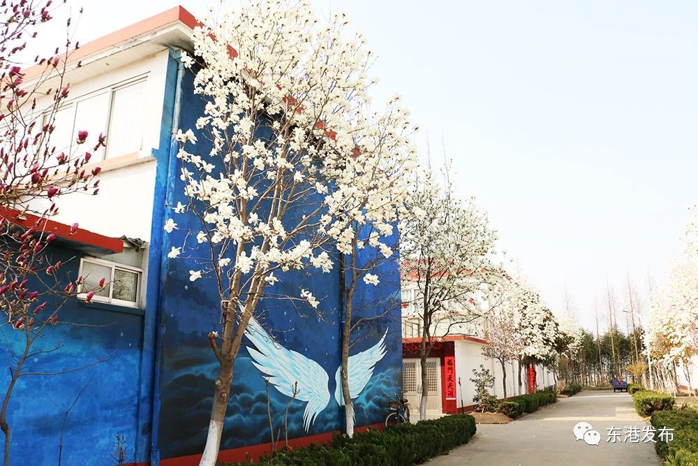 隐藏在乡村的特色民居,这些民宿深藏在江浙