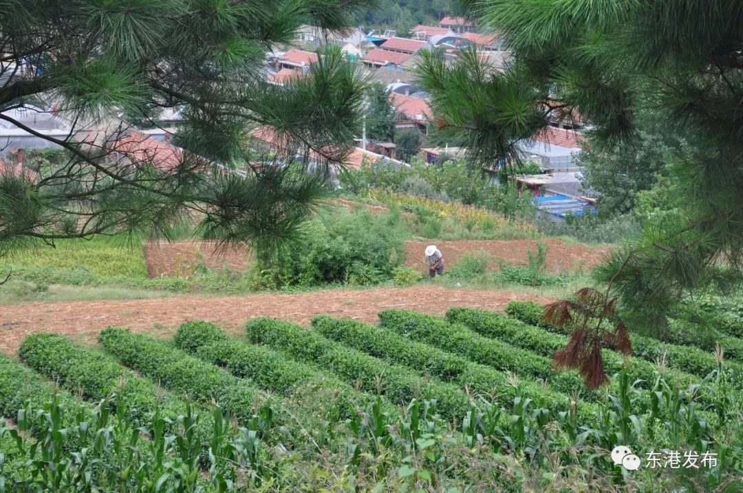 隐藏在乡村的特色民居,这些民宿深藏在江浙