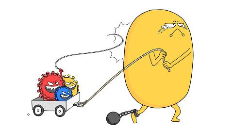 艾滋病知识答题,防艾滋病小知识