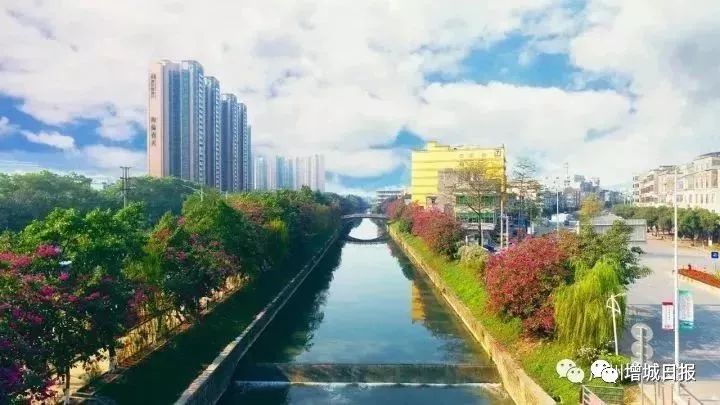 广州增城医保新政策,增城居民医保新规