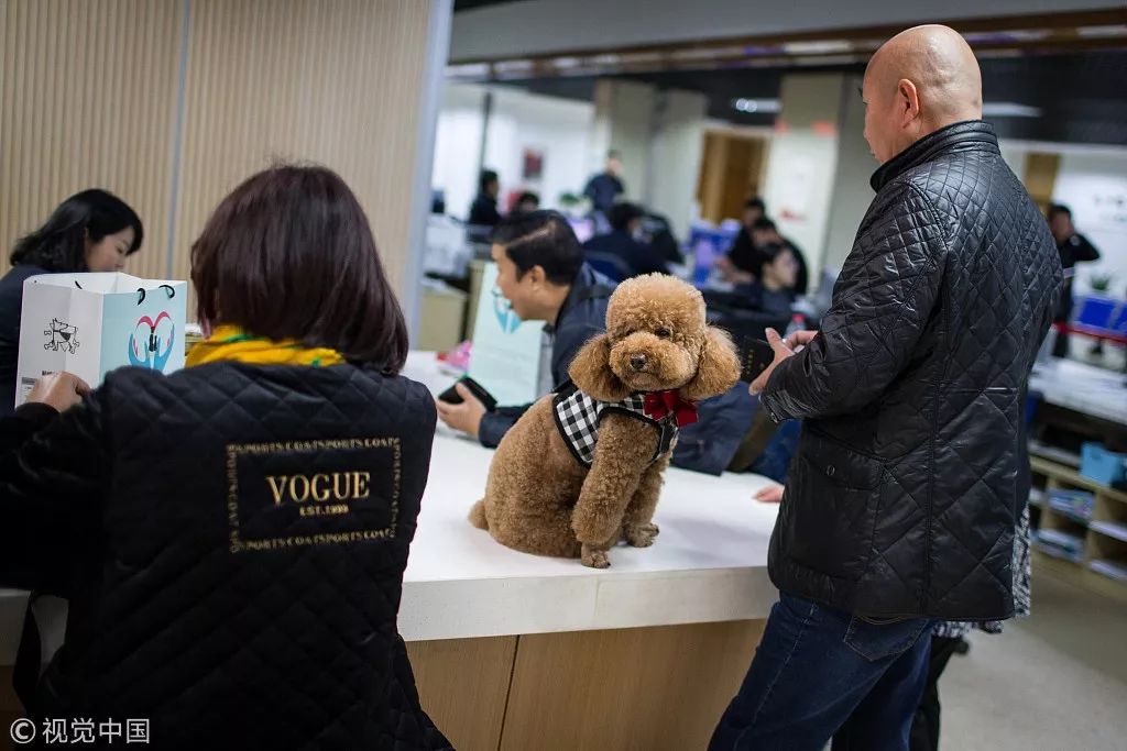 您的11月，已加载完毕