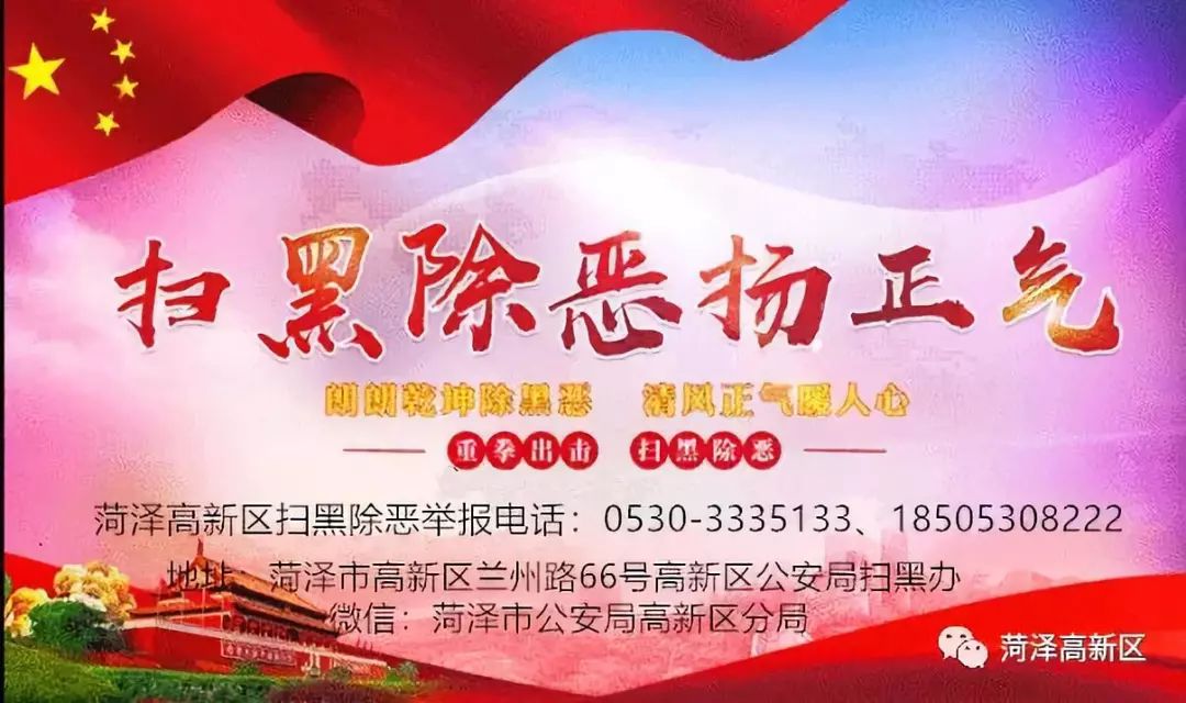 菏泽高新区举行全区中小学少先队标志礼仪互检互学互促活动