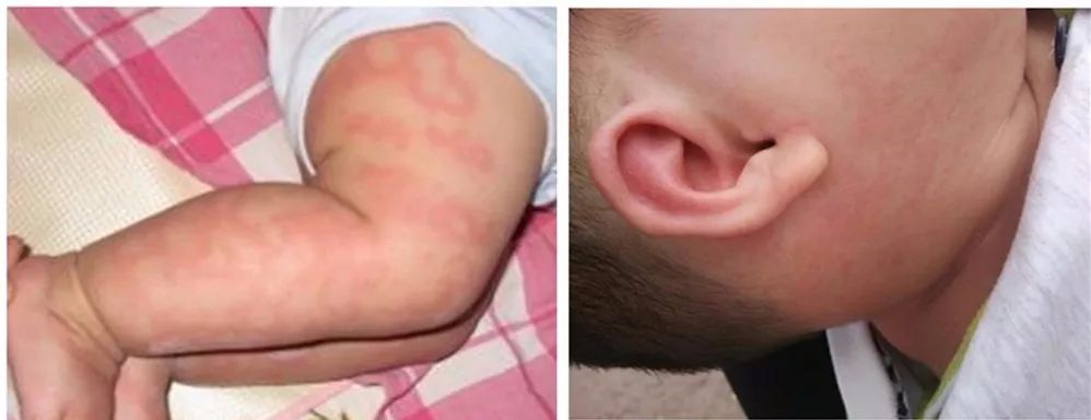 变态的日本人家居必备产品，不到两元钱就可以告别衣物发霉和蚊虫！可以用一辈子！