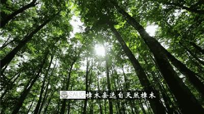 变态的日本人家居必备产品，不到两元钱就可以告别衣物发霉和蚊虫！可以用一辈子！