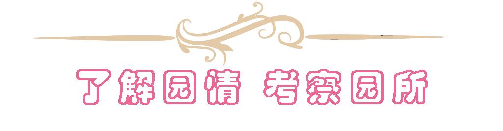 福建省妇联主席徐姗娜到直属幼儿园调研：做好新时代幼儿教育和家庭教育