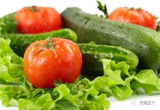 有机认证的好处,有机果蔬认证