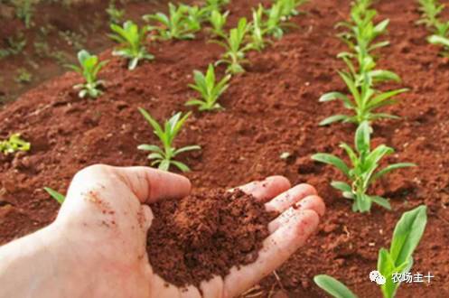 有机认证的好处,有机果蔬认证