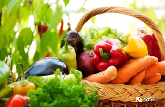 有机认证的好处,有机果蔬认证