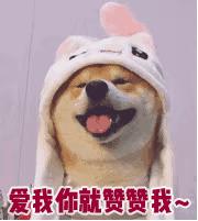 曝光！泉州大四女生投诉：欧菲虚构信息办网贷，如今父母同学都被骚扰……