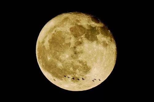 这个厦门人“追星”60年！用鼓浪屿和厦门二中命名了两颗星~