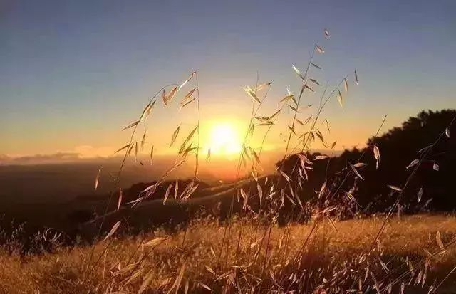 在单反摄影中这8个设置没调好,单反摄影入门教程7个技巧