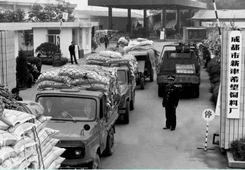 西南房企三剑客,西南地区上市房企