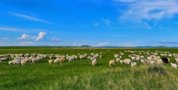 这笔钱停收，从西宁出发最低160元，1月机票白菜价