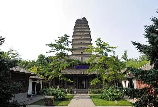 这笔钱停收，从西宁出发最低160元，1月机票白菜价