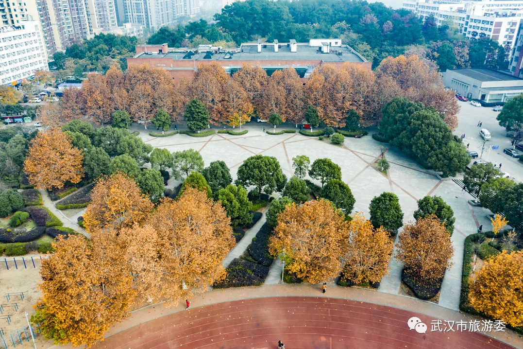红叶最佳旅游地点武汉,武汉看红叶最好的地方