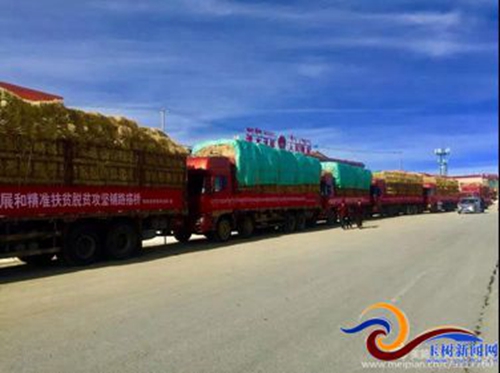 称多县农业,畜牧草业发展趋势