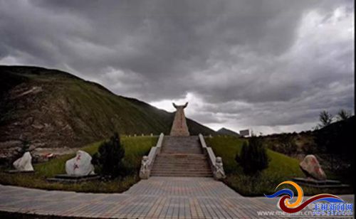 称多县农业,畜牧草业发展趋势