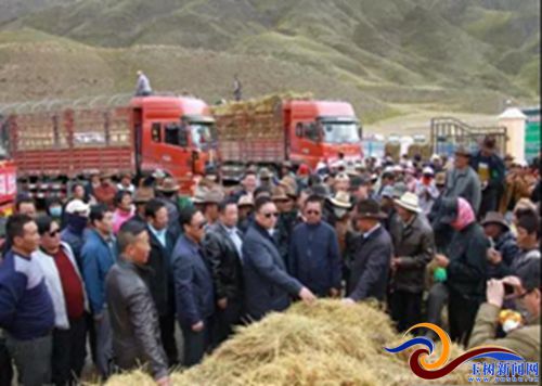 称多县农业,畜牧草业发展趋势