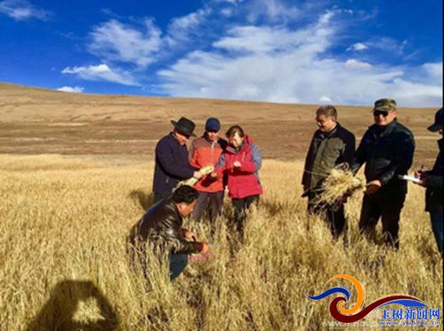 称多县农业,畜牧草业发展趋势