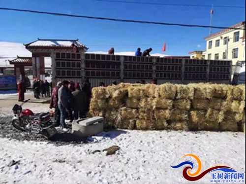 称多县农业,畜牧草业发展趋势