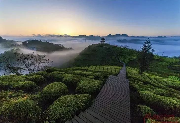 瀹f仼鏃呮父浼樻儬,瀹f仼鏃呮父璐墿鎺ㄨ崘