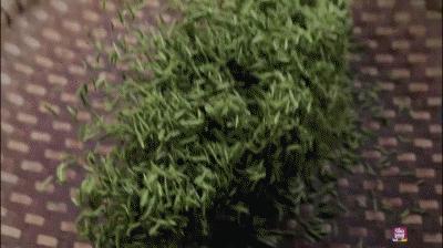 瀹f仼鏃呮父浼樻儬,瀹f仼鏃呮父璐墿鎺ㄨ崘