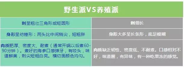 大连金三角海参批发市场海参价格,印尼海参好还是大连海参好