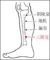 快速调理三高的方法,如何治疗三高症