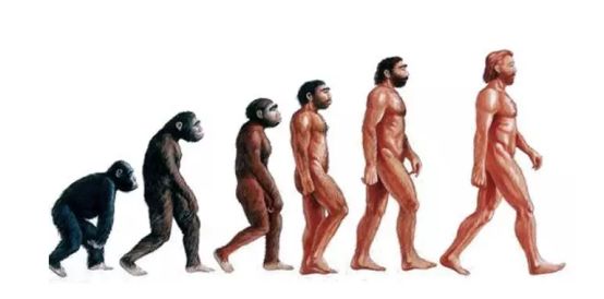 12月4日下午2点直播预告｜“嘴凸被说成猿人”到底该正畸还是做鼻子？