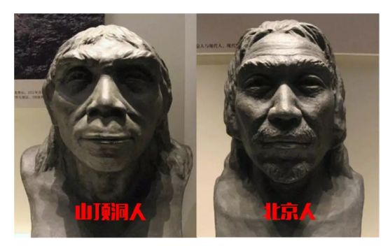 12月4日下午2点直播预告｜“嘴凸被说成猿人”到底该正畸还是做鼻子？