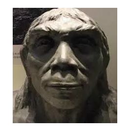 12月4日下午2点直播预告｜“嘴凸被说成猿人”到底该正畸还是做鼻子？