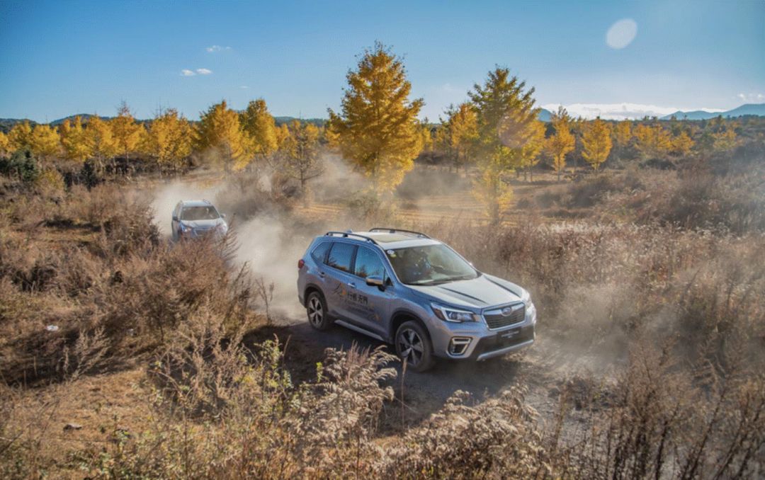 试驾斯巴鲁森林人2.0,试驾斯巴鲁新森林人