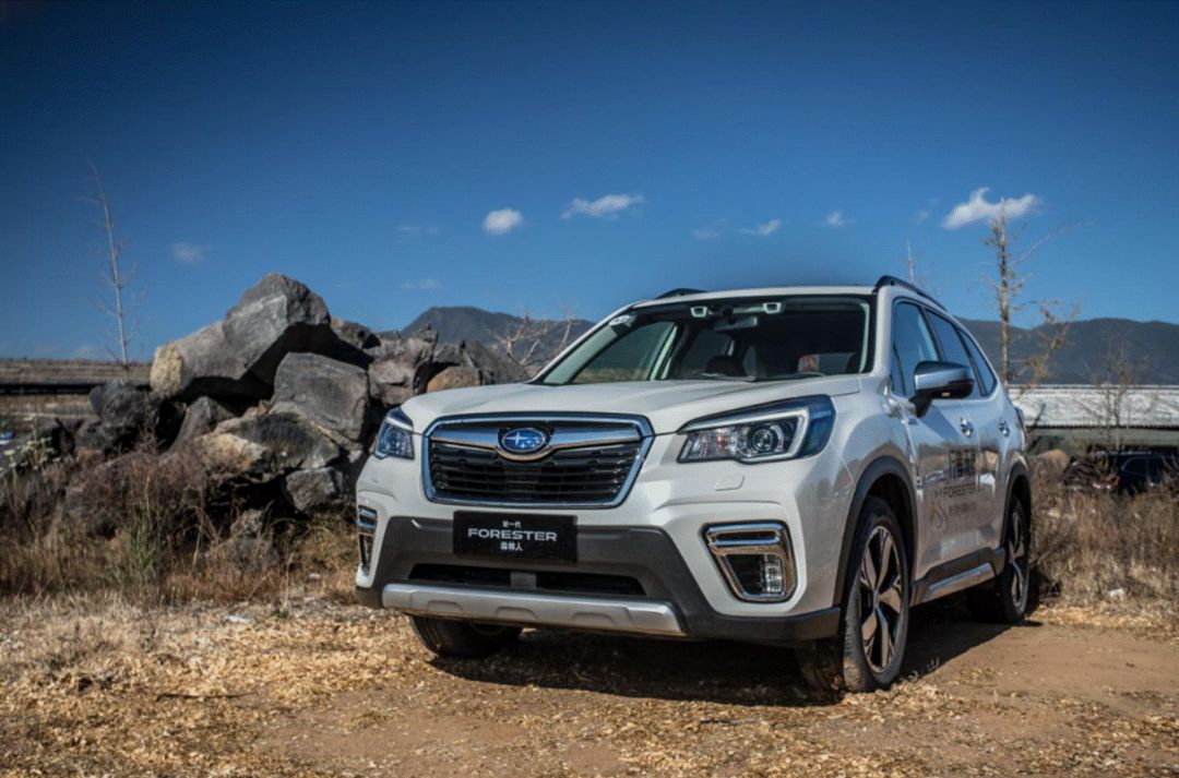 试驾斯巴鲁森林人2.0,试驾斯巴鲁新森林人