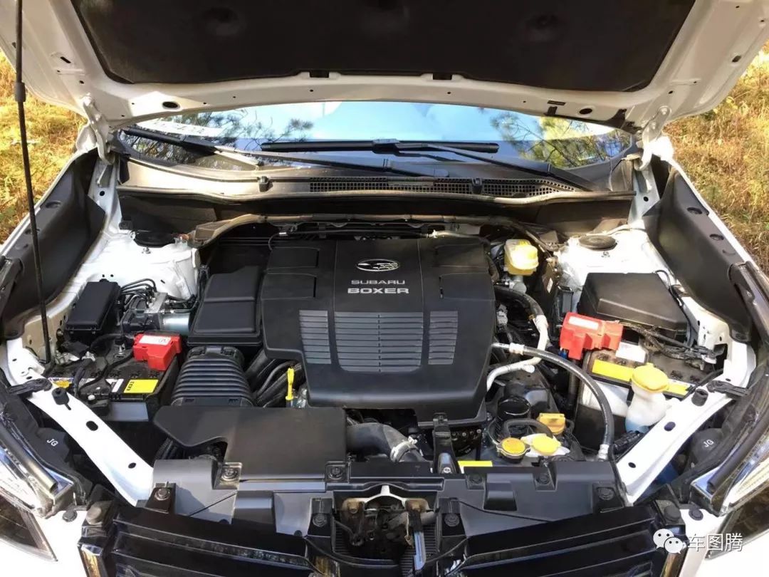 试驾斯巴鲁森林人2.0,试驾斯巴鲁新森林人